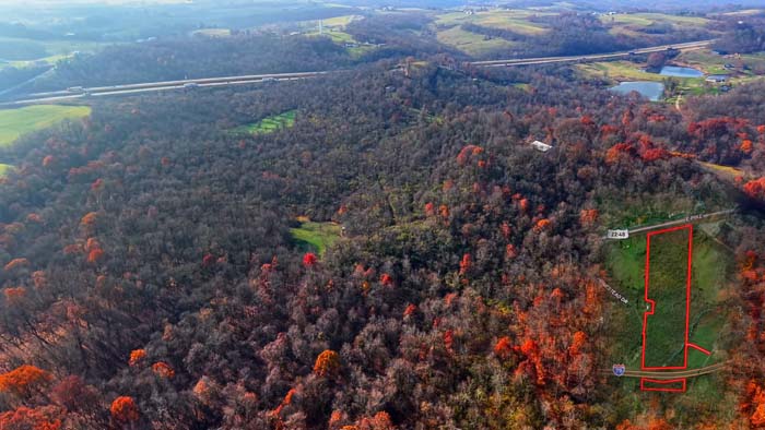 Hardwood forest with oak and walnut growth