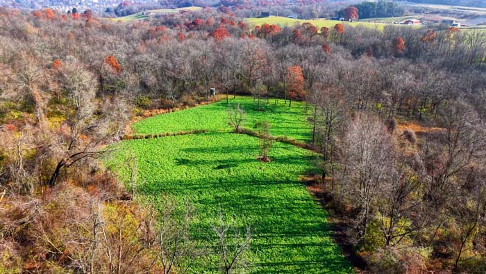 Wildlife-rich habitat on Muskingum County hunting land
