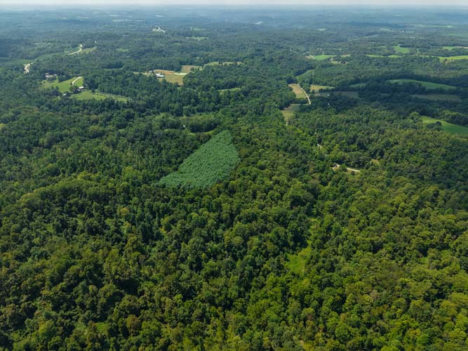 Noble County Ohio 46.3-acre tract on Robert Wells Road