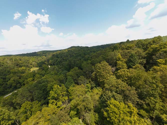 Scenic woodland trail through mature trees