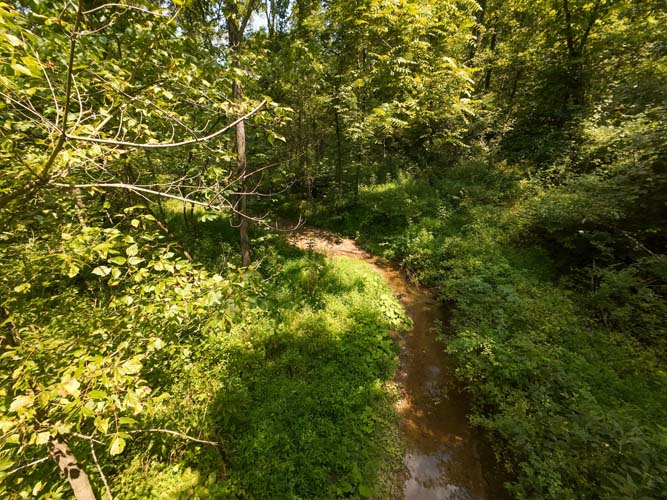 Secluded clearing ideal for future cabin site
