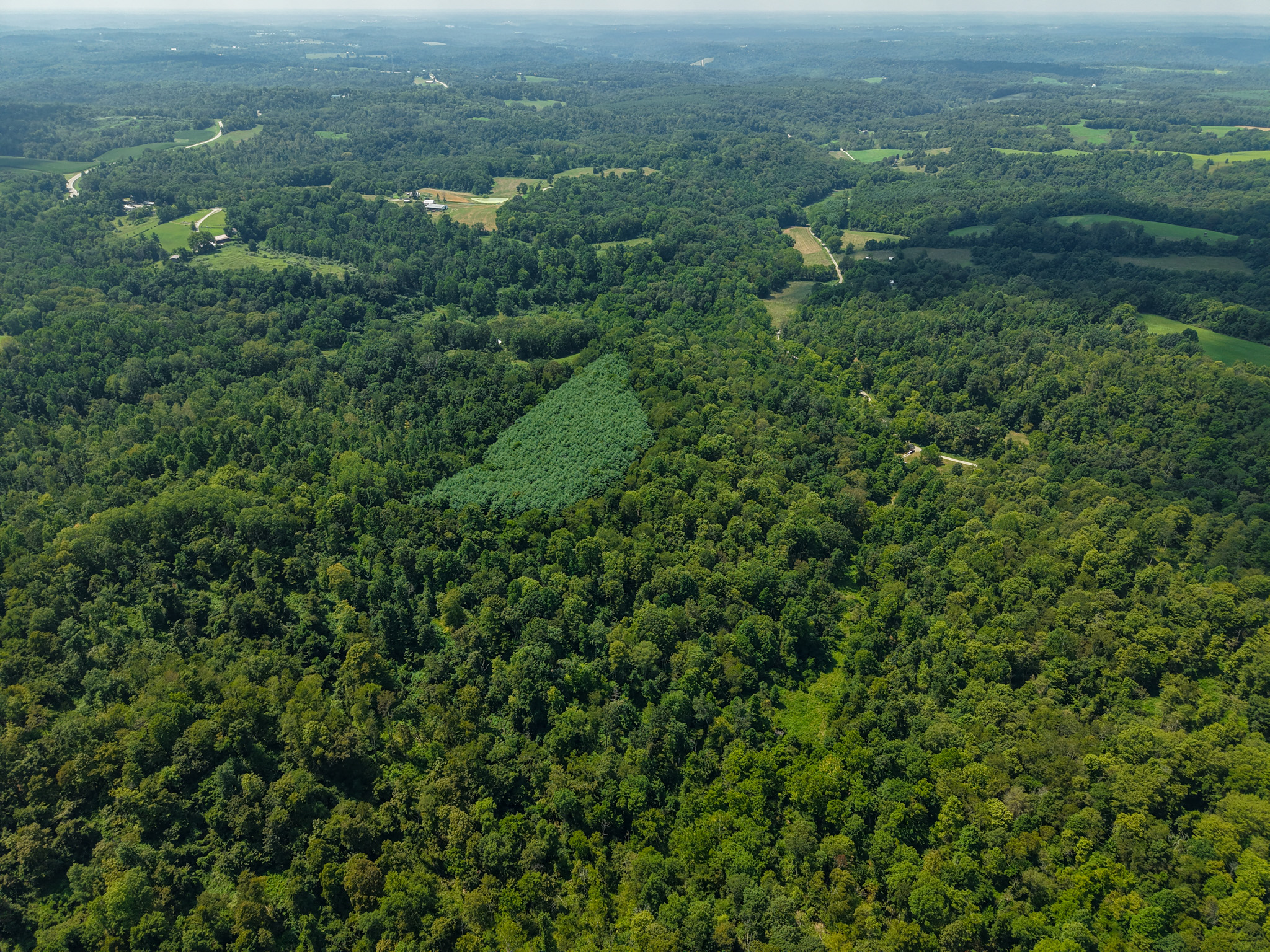 Robert Wells Road Parcel 10 — 46.3-acre Noble County tract with rolling hardwood ridges and open clearings