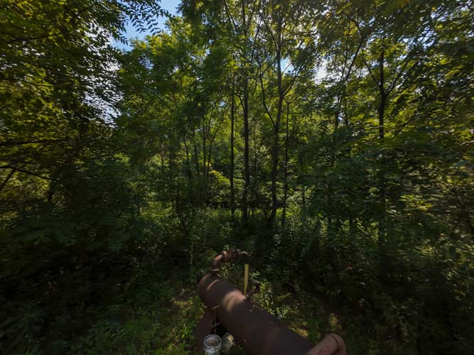 Timbered hillside with hunting access trail