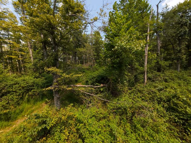 Trail system for ATV or side-by-side access