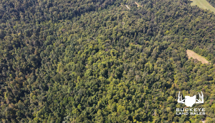 46.5 +/- Acres, Dexter City, OH 45727