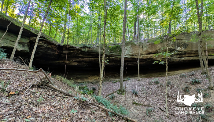 19.09+/- Acres, McArthur, Ohio 45651