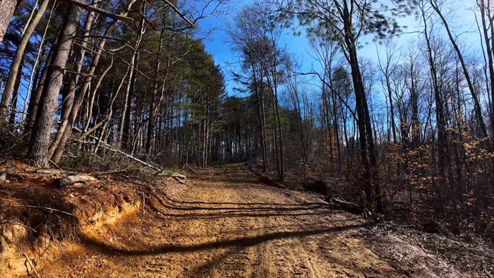Rolling Appalachian terrain with mixed timber cover