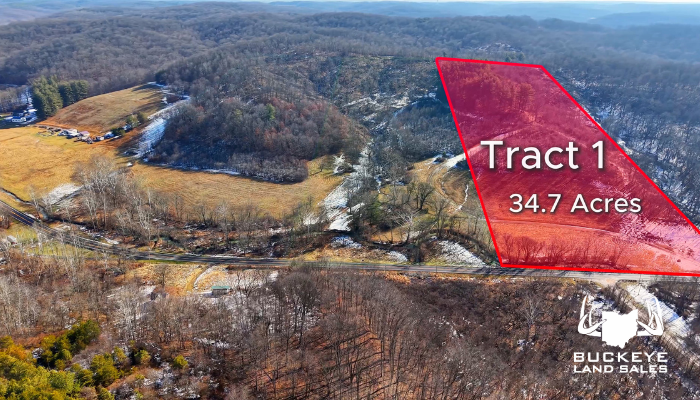 35 Acres (Tract T1), McArthur, OH 45651