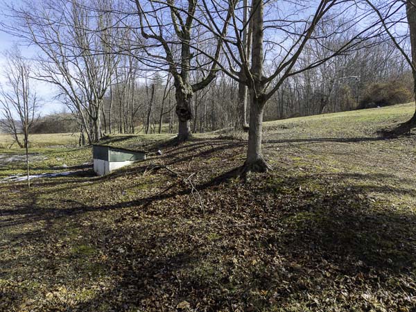 Thick regrowth creating strong wildlife habitat