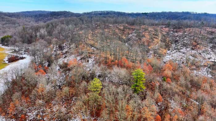 Wooded ridge overlooking hollow terrain