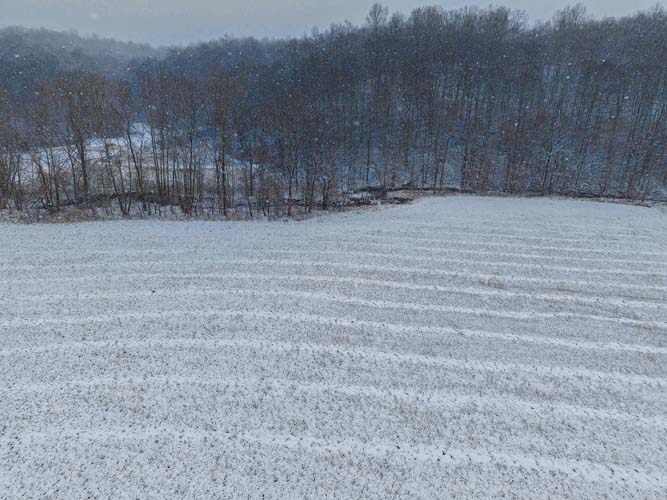 Open meadow with snow cover ideal for a secluded dream home site