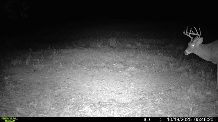 Venisonham Creek near property frontage