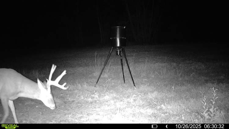 Trail system through woods