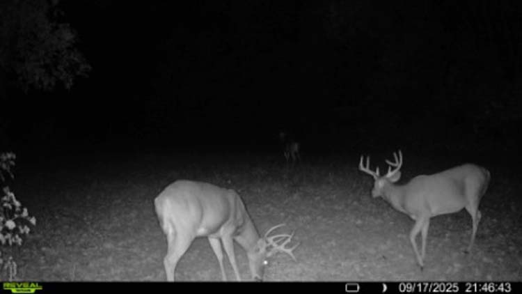 Tillable acreage with road access