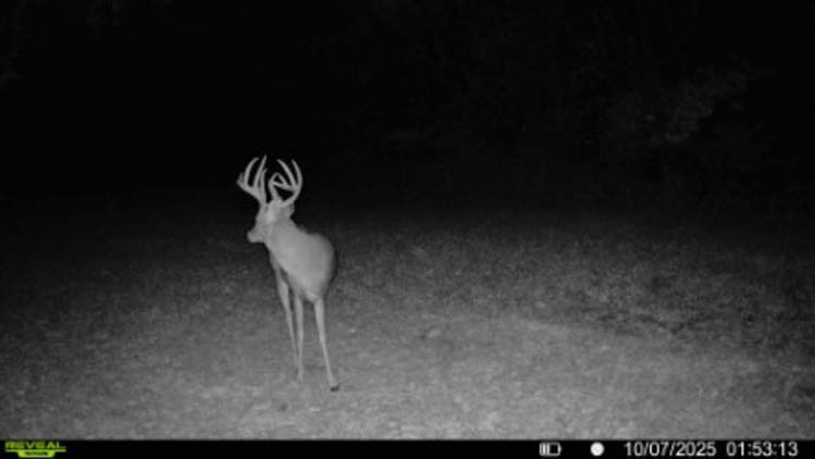 Barn exterior with historic character
