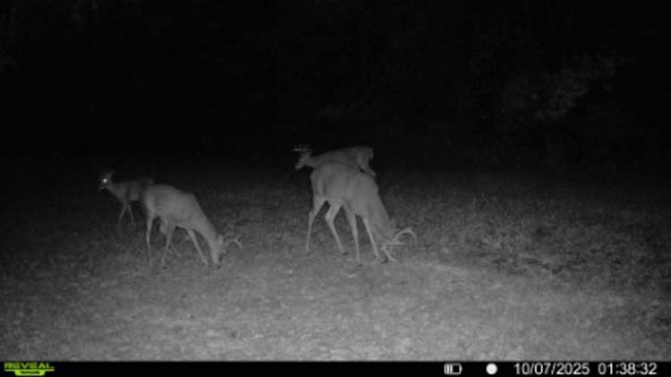 Barn interior storage space