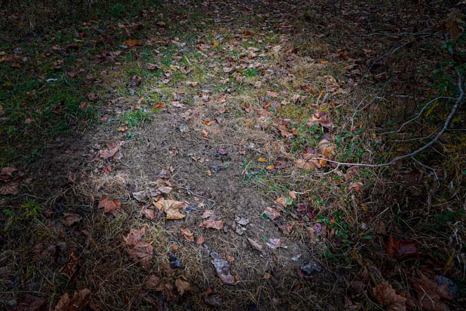 Drainage bottom with natural browse