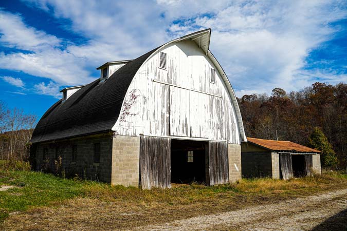 Mixed hardwood stand with oak mast