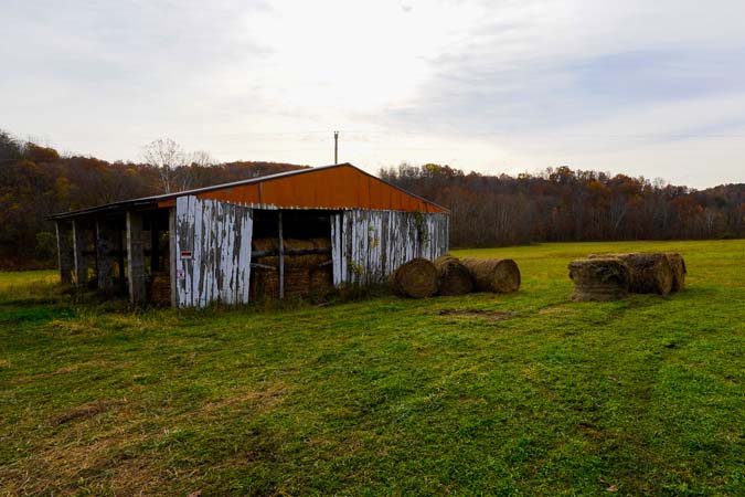 Switchgrass bedding setup
