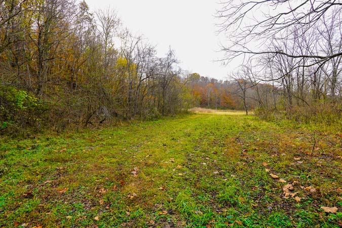 Rolling Appalachian terrain