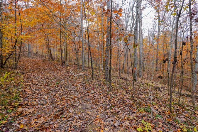 North field build location