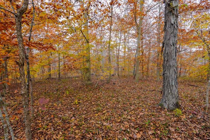 Mixed timber hillside structure