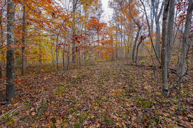 Secluded recreation and hunting land