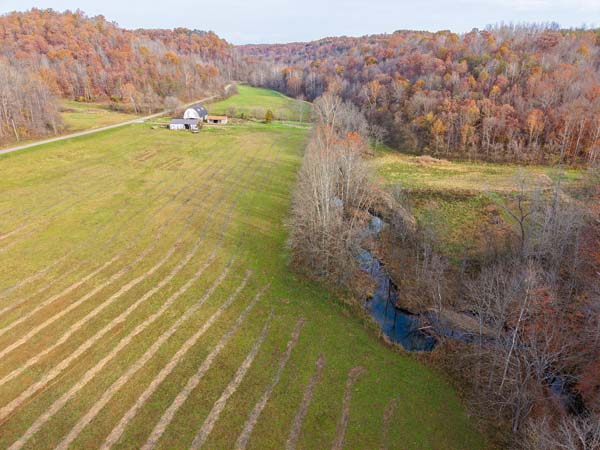 Established clover food plot