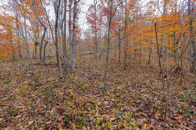Layered hillside terrain