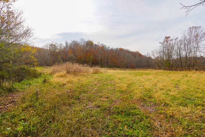 Field edge scrape zone