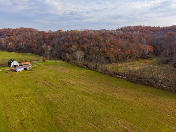 Switchgrass bedding cover along field edge