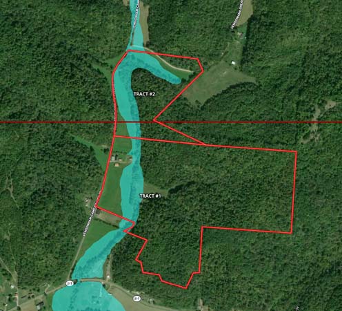 Trail camera placement location