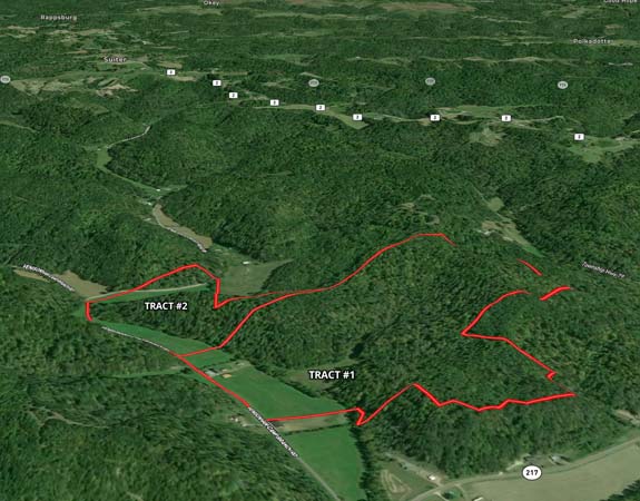 Whitetail feeding area near field