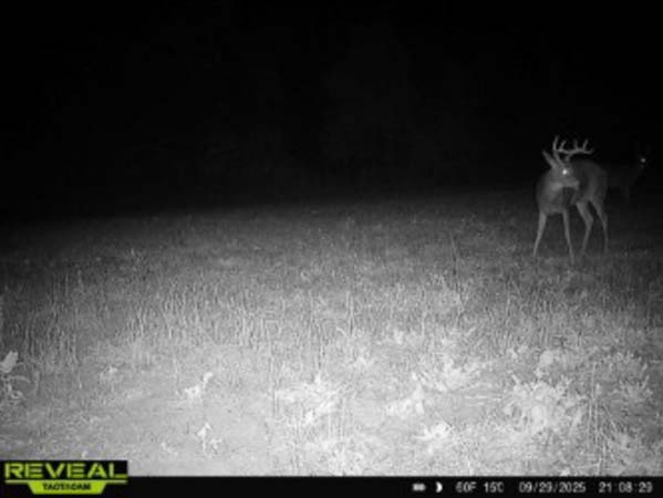 Deer sign along natural funnel