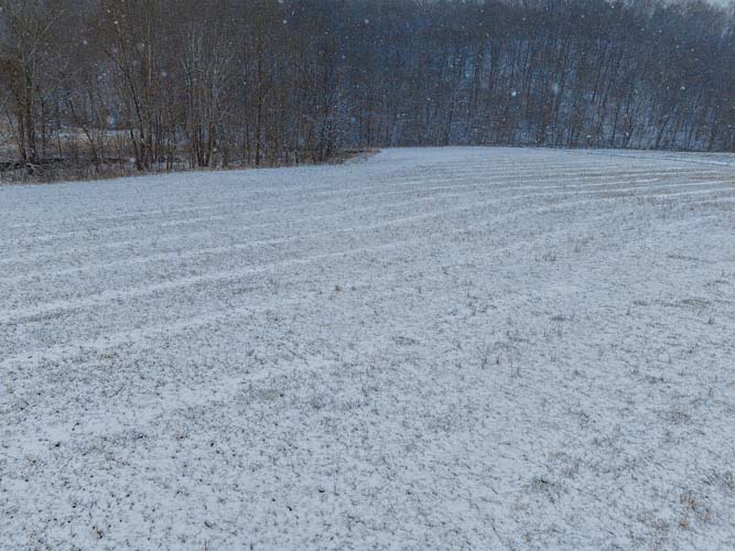 Private rural setting near Crown City Wildlife Area with scenic open land