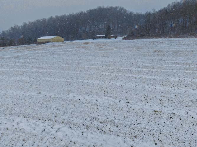 Elevated home site option overlooking creek and wooded ridges