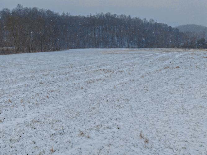 Winter landscape showing gentle terrain perfect for residential development