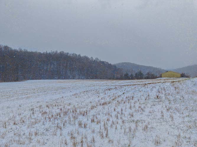 Elevated open field near Venisonham Creek ideal for a future home site in southern Lawrence County