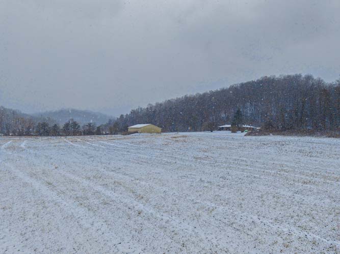 Creekside view along Venisonham Creek outside FEMA floodplain with wooded backdrop