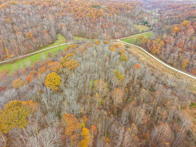 Creek bend with rock and water flow