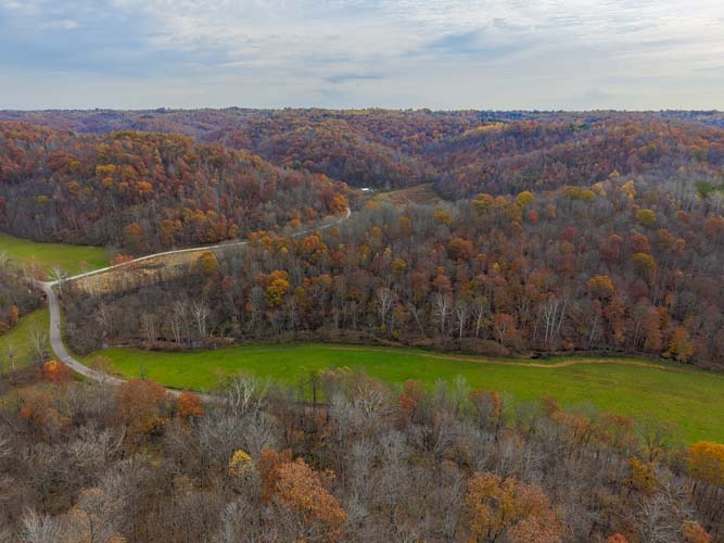 Open field ideal for hobby farm