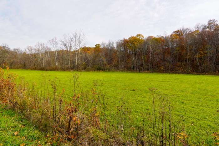 Rural Lawrence County setting