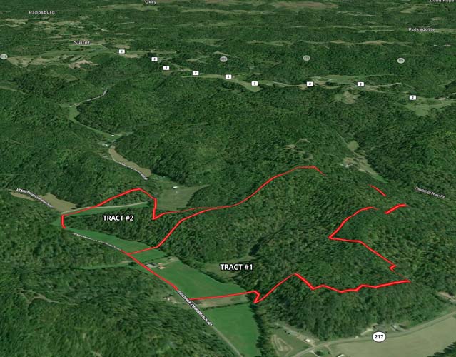 Wooded treeline along open ground