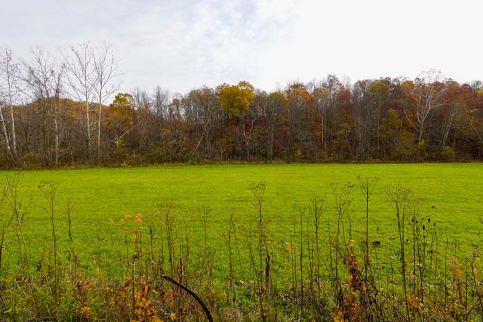 Creek running through property