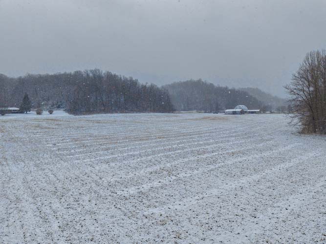 Level rural acreage with utilities nearby near State Route 217 Lawrence County Ohio