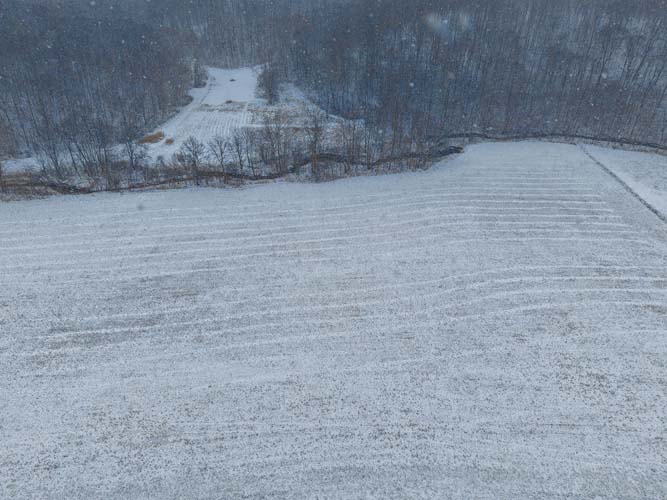 Close view of Venisonham Creek flowing along the edge of the property