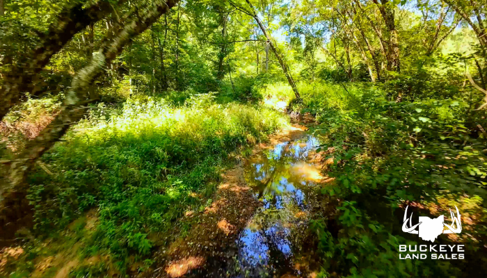 14+/- Acres, Raccoon Township, OH 45686