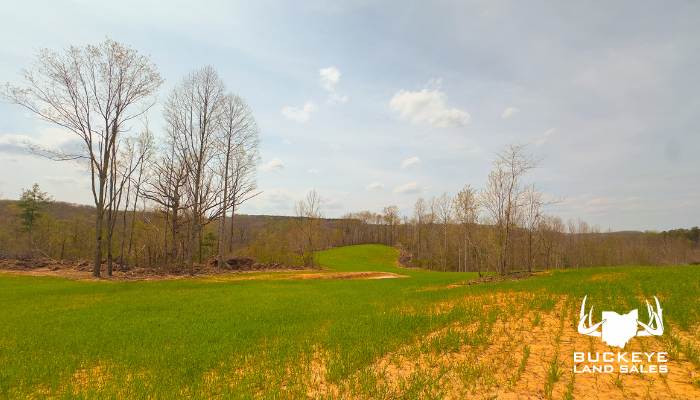 0 Oakland Road 95+/- Acres, Jackson, Ohio