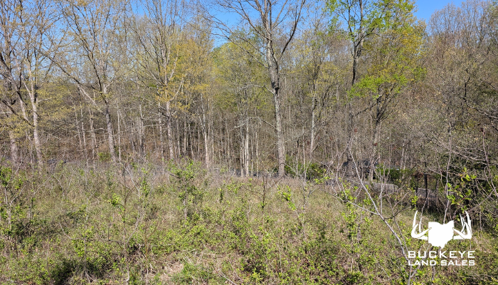 Lemaster Road T5 5.516 +/- Acres, Athens, Ohio 45701