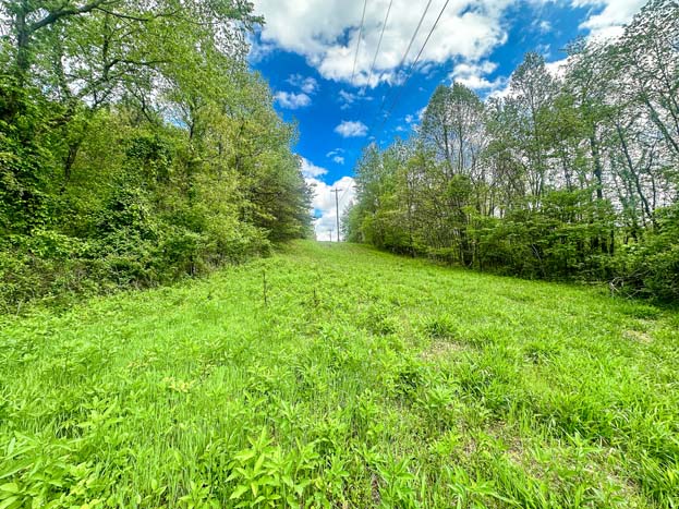 aerial view of 40 acres – Whitetail hunting land in Gallia County near Wayne National Forest, Tract 1